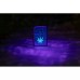 Запальничка ZIPPO Cannabis Design Black Light світиться в ультрафіолеті (48736)